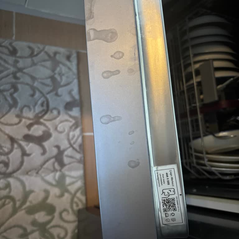 Garanti Kapsamındaki Bulaşık Makinesi Kapağındaki Renk Atması Sorunu