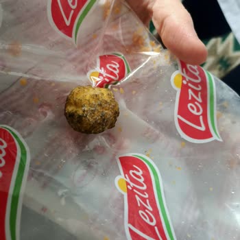 Lezita Çıtır Kova Ürününde Yabancı Ve Kıllı Parça Bulunması
