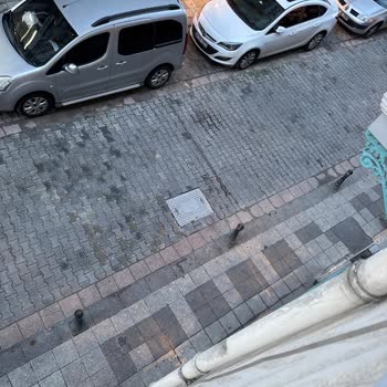 Kadıköy Rasimpaşa Mahallesi'nde Gürültülü Rögar Kapakları İçin Acil Tamir Talebi