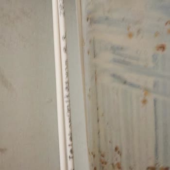 Türk Telekom'da Sürekli Kesintili İnternet, Fiber Altyapı Eksikliği Ve Yüksek Cayma Bedeli