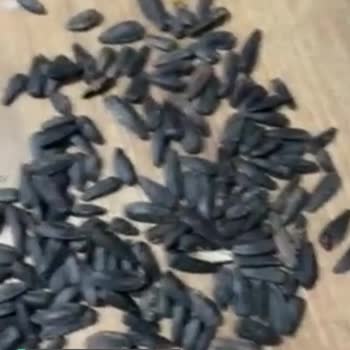 Çerezya Marka Tombul Çekirdek Skandal