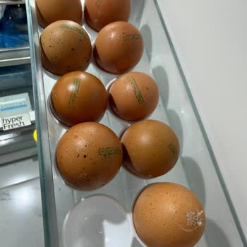 Mlife Bio Organik 10'lu Yumurtalarda Sürekli Kırık Yumurtalar Ve Maddi Kayıp