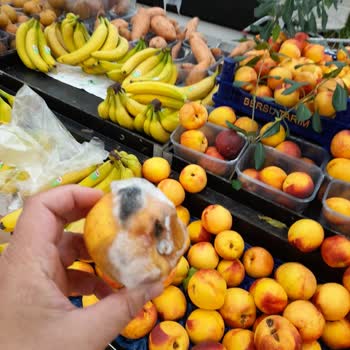 Üsküdar Çağrı Mağazaları'nda Küflü Ürünler Ve Cinsiyetçi Üslup