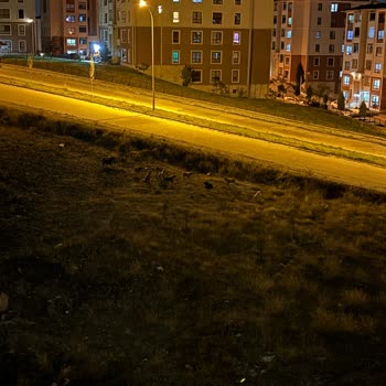 Kütahya Belediyesi Acil Sahipsiz Köpek Tehlikesi Çözüm Talebi