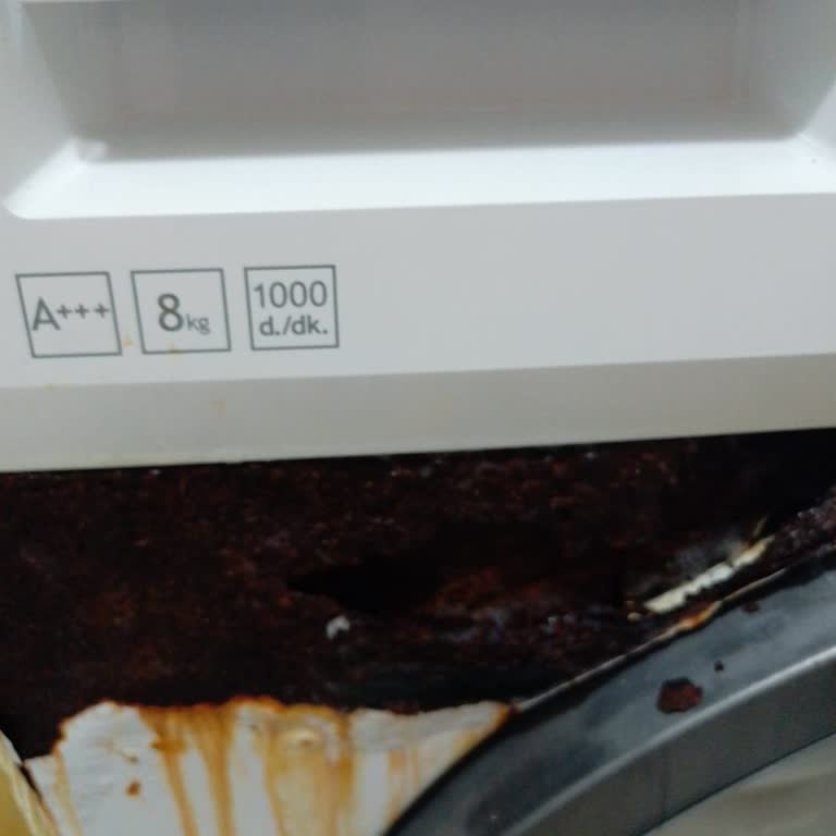 Altus AL8100D Çamaşır Makinesinin Deterjan Gözünün Altındaki Paslanma Ve Çürüme Problemi