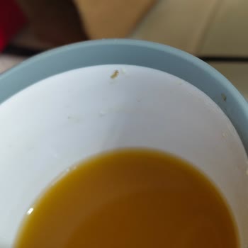 A101 Şubesinde Dooy Kayısı Aromalı Meyve Suyu İçinde Kurt Bulundu