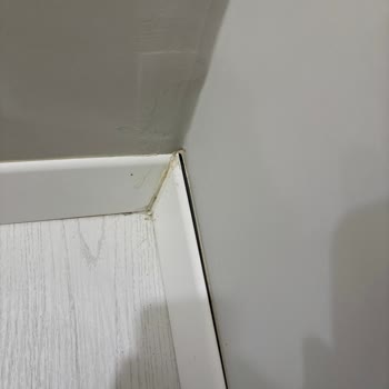 Arçelik Çamaşır Makinesinin Su Sızıntısı Nedeniyle Evde Hasar Ve Rutubet Tam Onarım Talebi