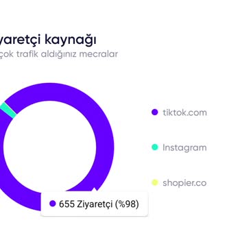 TikTok Reklam Sonrası Organik Erişim Düşüşü Ve Harcama Karşılığı Sorunu