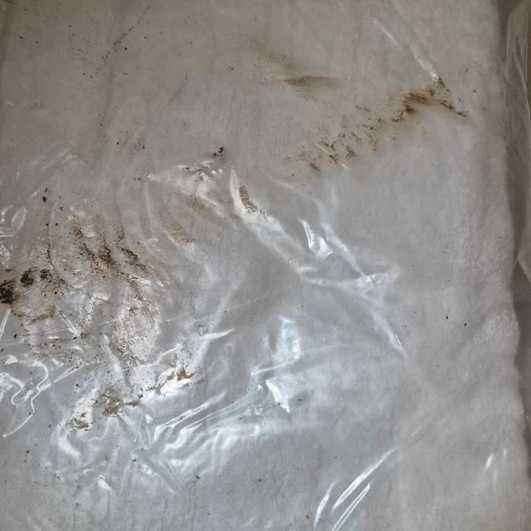 PTT Kargo Çamurla Kaplı Paketi Hijyen Sorunu Ve Özensiz Taşıma