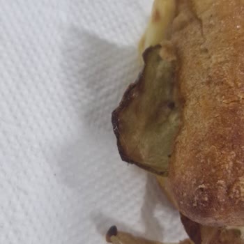 Yemeksepeti One Bite Sandviçte Kıl Bulunması Ve Yetersiz Su Şikayeti