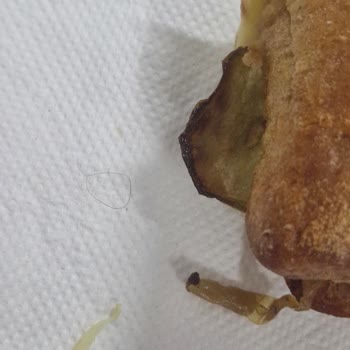 Yemeksepeti One Bite Sandviçte Kıl Bulunması Ve Yetersiz Su Şikayeti