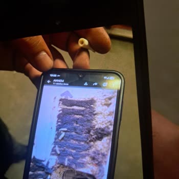 İz Teknoloji’ye Gönderdiğim Robot Süpürge Çamurda Ve Kurtlarla Döndü