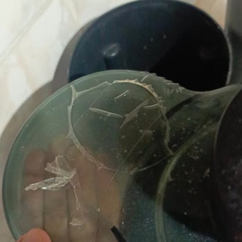 Kısa Sürede Çatlayan Kivi Meyve Sıkacağı İçin Ücretsiz Tamir Veya Değişim Talebi