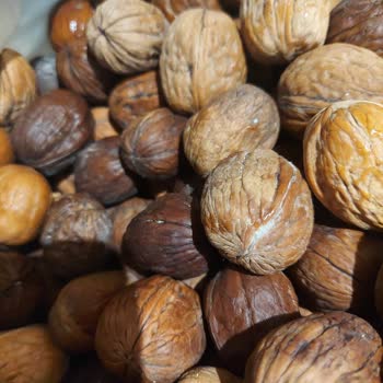 Kuru Ceviz Siparişinde Küflü Ve Çürük Ürün Gönderimi