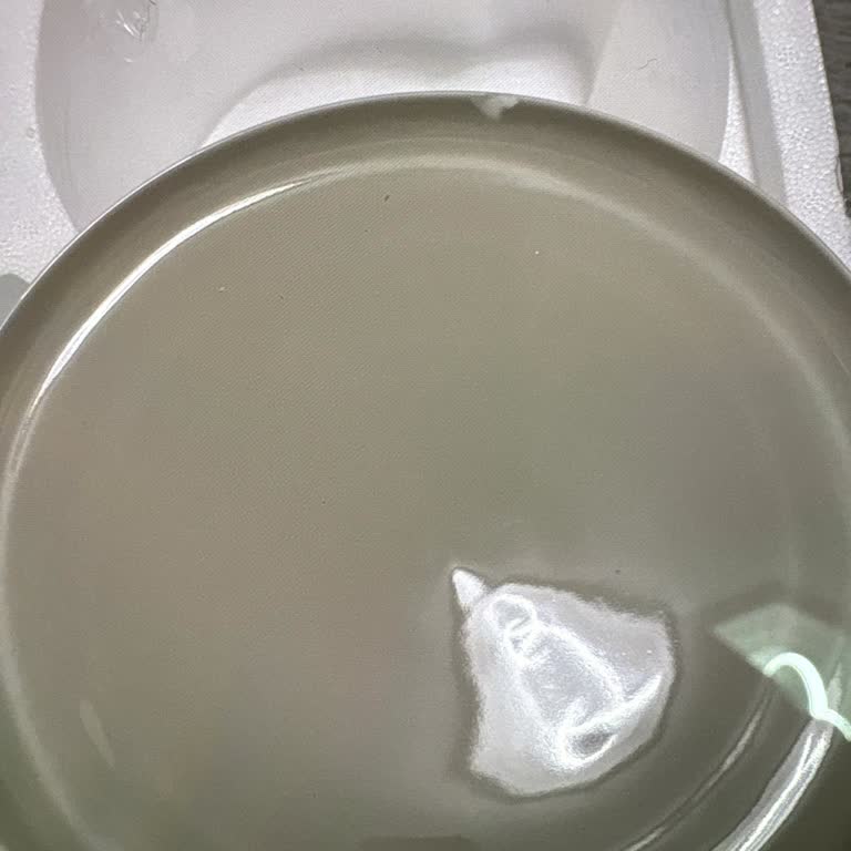 Kırık Servis Tabağı İçin Yedek Parça Talebi