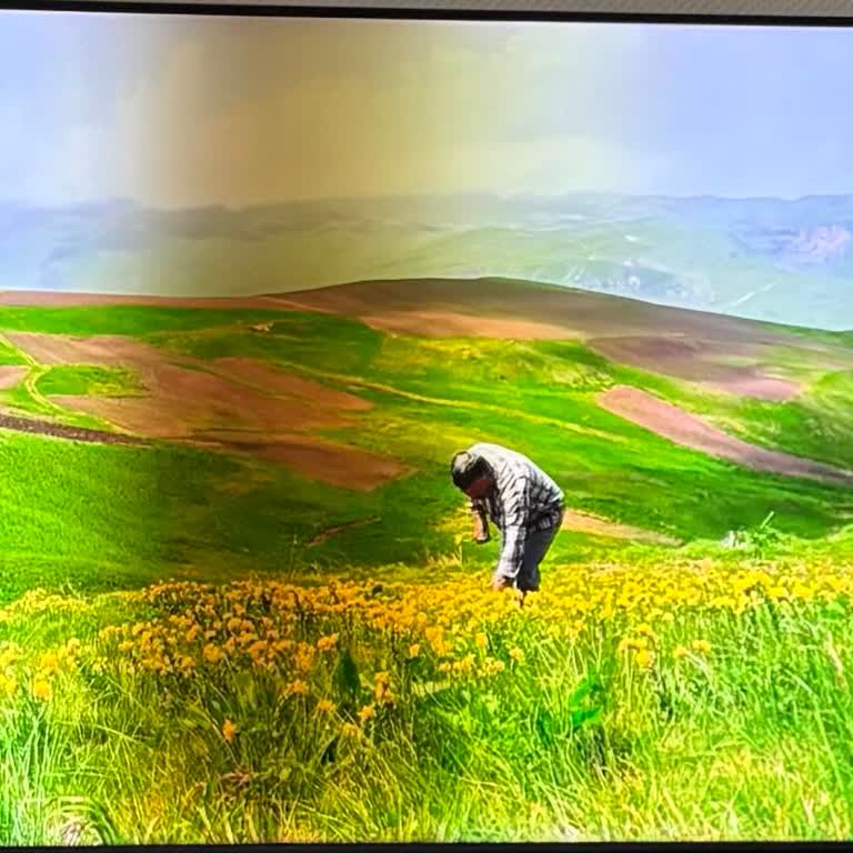 Samsung Yetkili Servisin Fahiş Onarım Teklifi Ve Kısa Ömürlü TV Paneli Sorunu