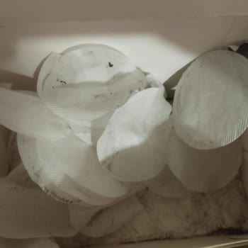 Lipton Earl Grey Poşet Çayında Boş Ve Kirli Poşet Sorunu