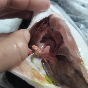 Macrocenter Şubesinde Balık Temizliği Eksikliği