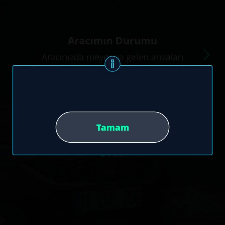 Fiat Yol Arkadaşım Uygulamasında Üyelik Ve Araç Eşleştirme Sorunu Hizmetten Yanıt Gelmiyor
