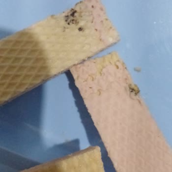 Eti Hoşbeş Çilek Kremalı Gofretlerde Kırık Ve Siyah Lekeler
