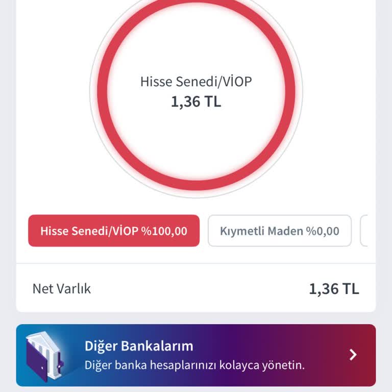 Halkbank Yatırım Hesabındaki 1,36 TL Ve 20 TL Küsuratlı Bakiyeler Nedeniyle Hesap Kapatılamıyor