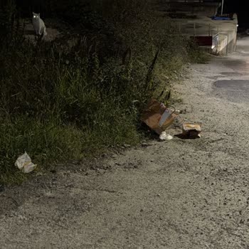 Kurye Siparişi Çimenlerde Bıraktı Ve Teslim Edildi Olarak İşaretlendi, İade Talebi