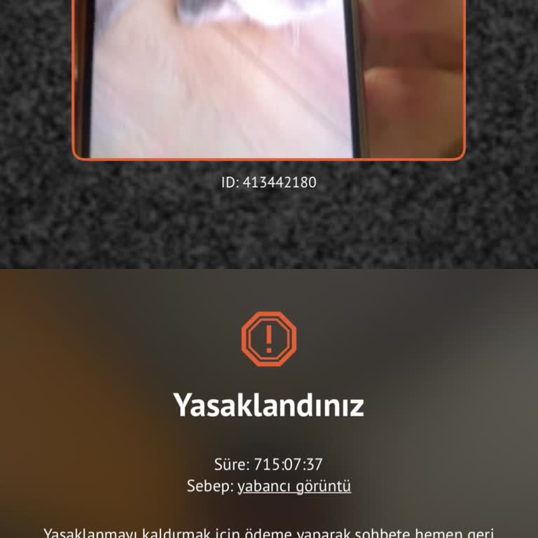 Ome TV'de Kedi Resmi Gösterdiğim 715 Saat Yasak Ve 599,99 TL Ödeme Talebi