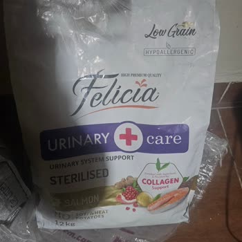 Sahte Felicia Kedi Maması Nedeniyle Kediler Yemiyor Ve Sağlık Sorunu Yaşıyor