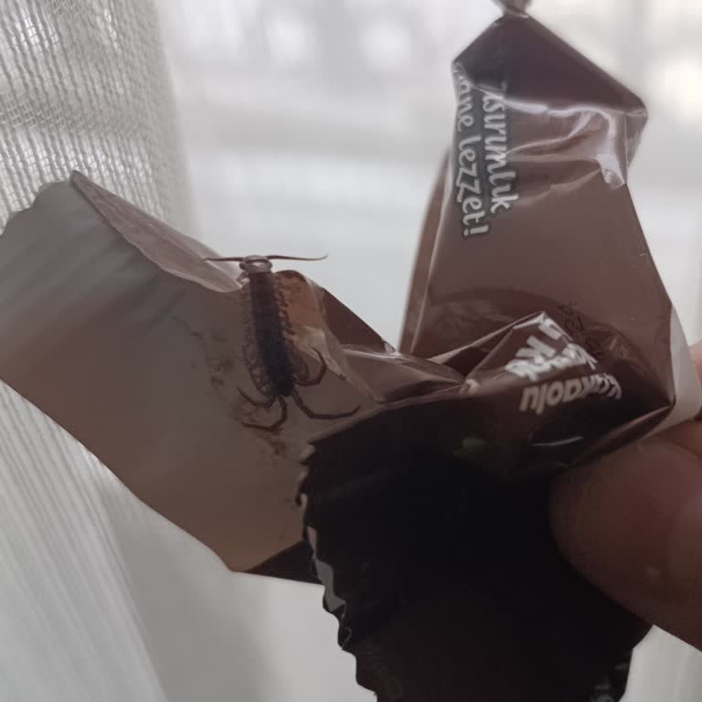 Banabi Kekinde Çiyan Çıktı, Çocuk Sağlığı Tehlikede