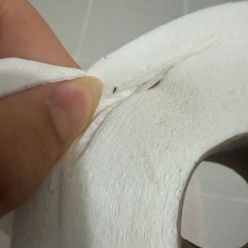 Şok Market'te Tuvalet Kağıdında Böcek Ve Küf Sorunu