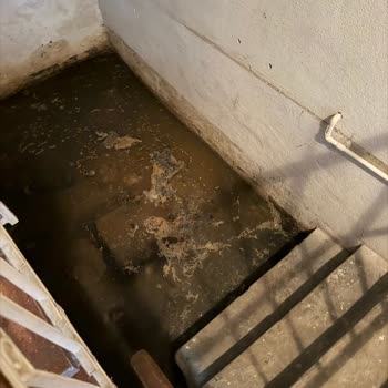 Sakarya'da Sürekli Kanalizasyon Kokusu Ve Çözülmeyen Tıkanıklık Sorunu