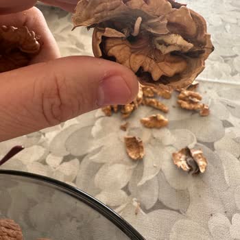 Usul Naturel Cevizlerinde Bayat Ve Kurtlu Ürün, 2.985 TL Tam İade Talebi