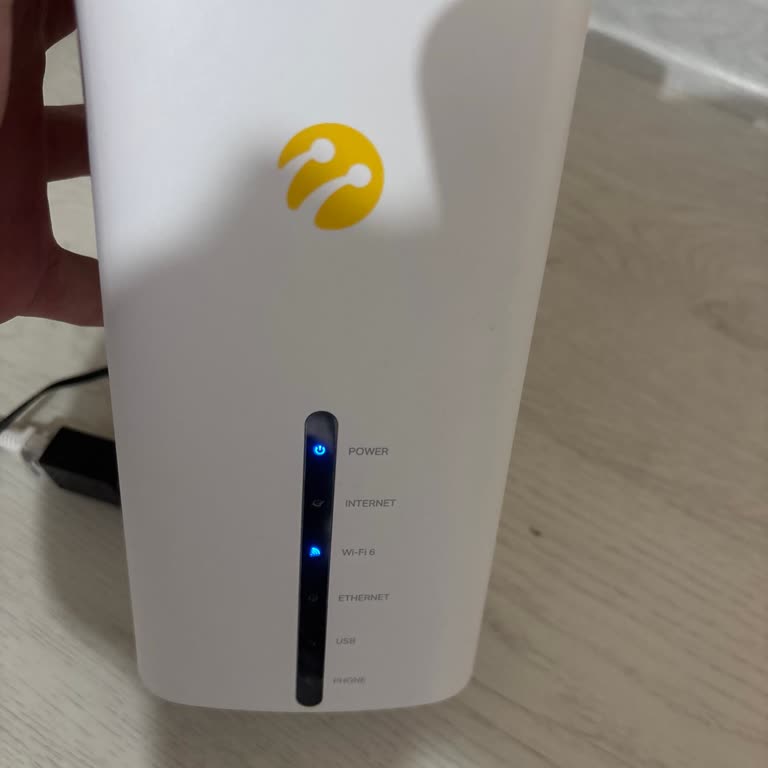 Turkcell Superonline Ev İnternet Kesintisi Ve Acil Teknik Destek Talebi