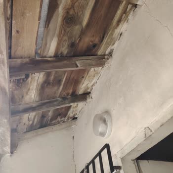 Maltepe Belediyesi'nden Acil Yapısal İnceleme Ve Kentsel Dönüşüm Talebi