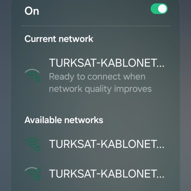 Kesintili TÜRKSAT İnterneti Nedeniyle İş Kaybı Ve Ekstra Masraflar İadesi Talebi