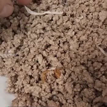 Köfteci Yusuf Kıymadan Çıkan Poşet