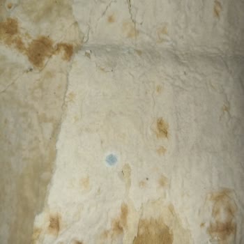 Müddeti Geçmemiş Freshun Yufka Ekmeği Küflü Ve Bayat Çıktı