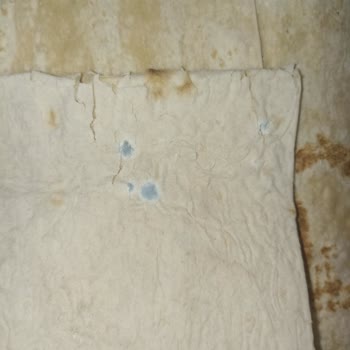 Müddeti Geçmemiş Freshun Yufka Ekmeği Küflü Ve Bayat Çıktı