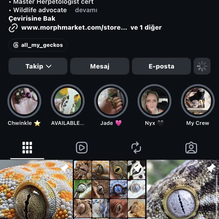 Instagram Hesabımda Yetkisiz Otomatik Takip Sorunu