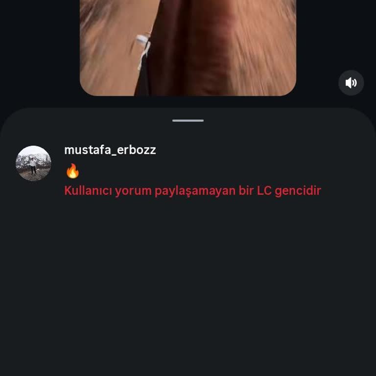 Instagram Ana Hesabımda Yorum Gönderememe Sorunu