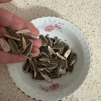 Tadım Kavrulmuş Ay Çekirdeği Ürünlerinde Boş Çekirdek Ve Kalite Düşüşü