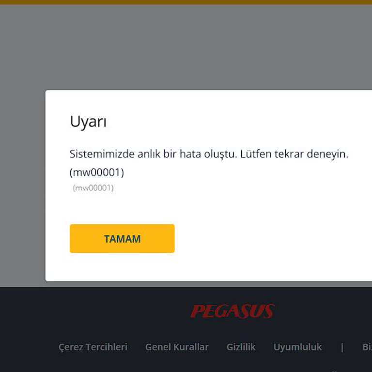 Pegasus Uygulamasında Ve Web Sitesinde Bilet Detayına Erişilemedi Ve Ek Bagaj Satın Alınamadı