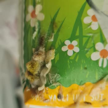 Migros Sanal Market'te Yörsan UHT Süt Paketi Şişmiş Ve Küflü: Gıda Güvenliği Endişesi