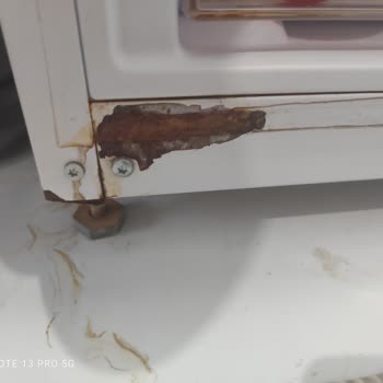 Vestel Buzdolabındaki Paslanma İçin Ücretsiz Onarım Talebi