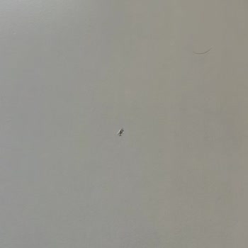 Bellona'dan Aldığım Masa Sürekli Kırık Ve Çizik Çıktı
