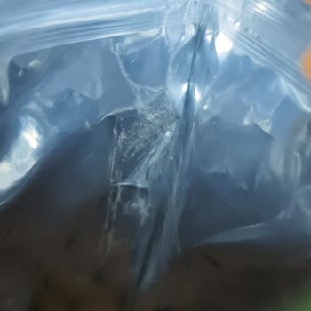 A101 Mağazasından Alınan Çerezya Çiğ Bademde Hijyen Sorunu