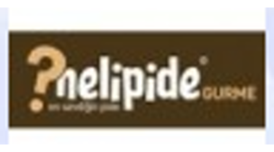 Nelipide Gurme Logo