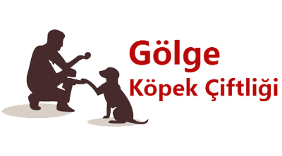 Golge Kopek Ciftligi Sikayetvar