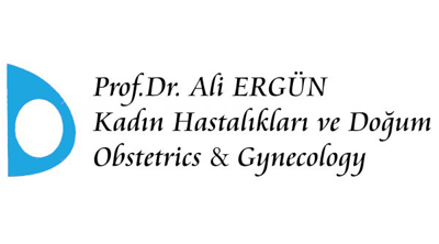 Prof. Dr. Ali Ergün