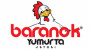 Baranok Logo